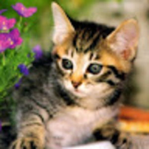 Meet your Posher, Bridgette